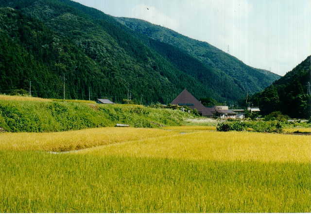 田舎の画像で癒されるトピ