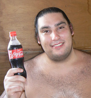 【実況・感想】独占緊急特報!!貴乃花親方105日沈黙破りすべてを語る