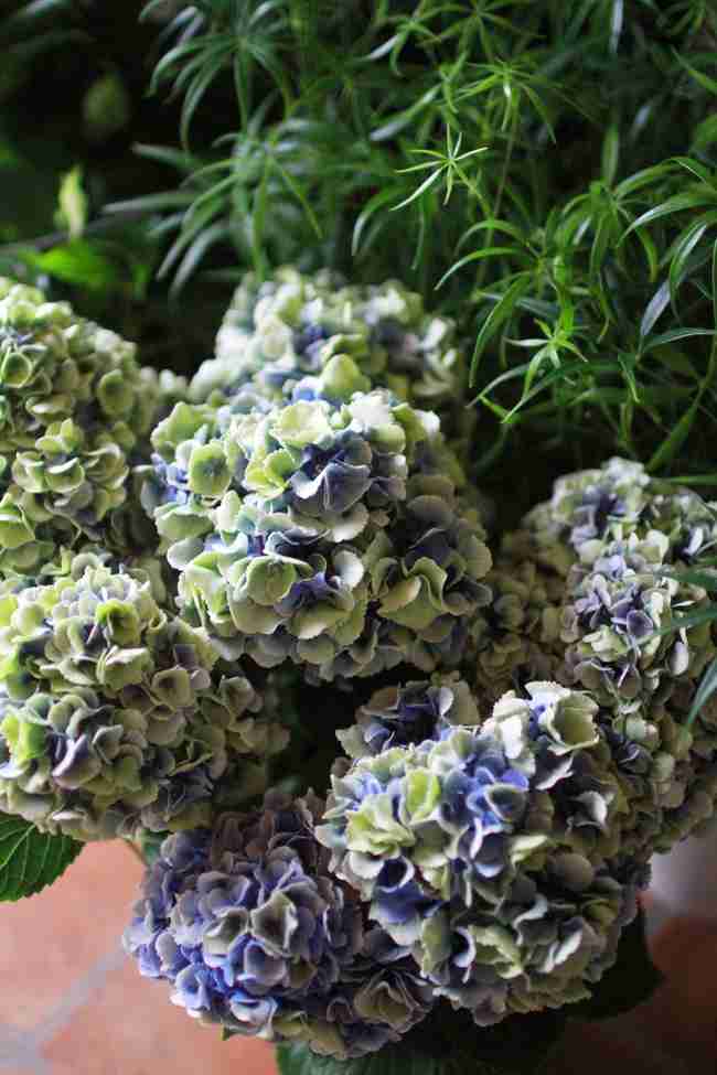 あなたが一番好きな花！