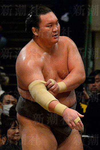 貴乃花親方がタニマチに白鵬の疑惑を指摘？硬めのサポーターを特注か - ライブドアニュース