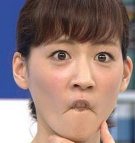 芸能人で動物園を作ろう