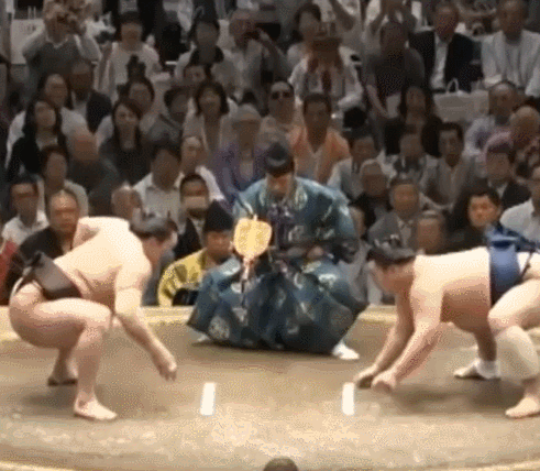 【実況・感想】独占緊急特報!!貴乃花親方105日沈黙破りすべてを語る