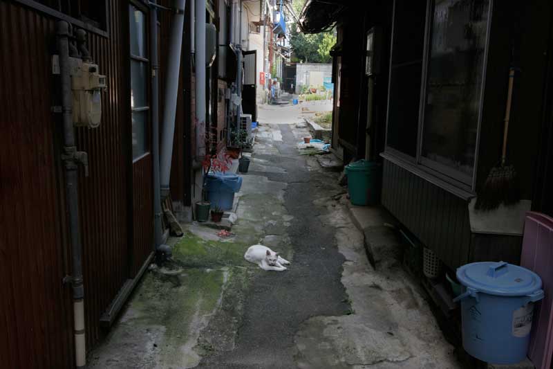 世界の路地裏画像を貼るトピ