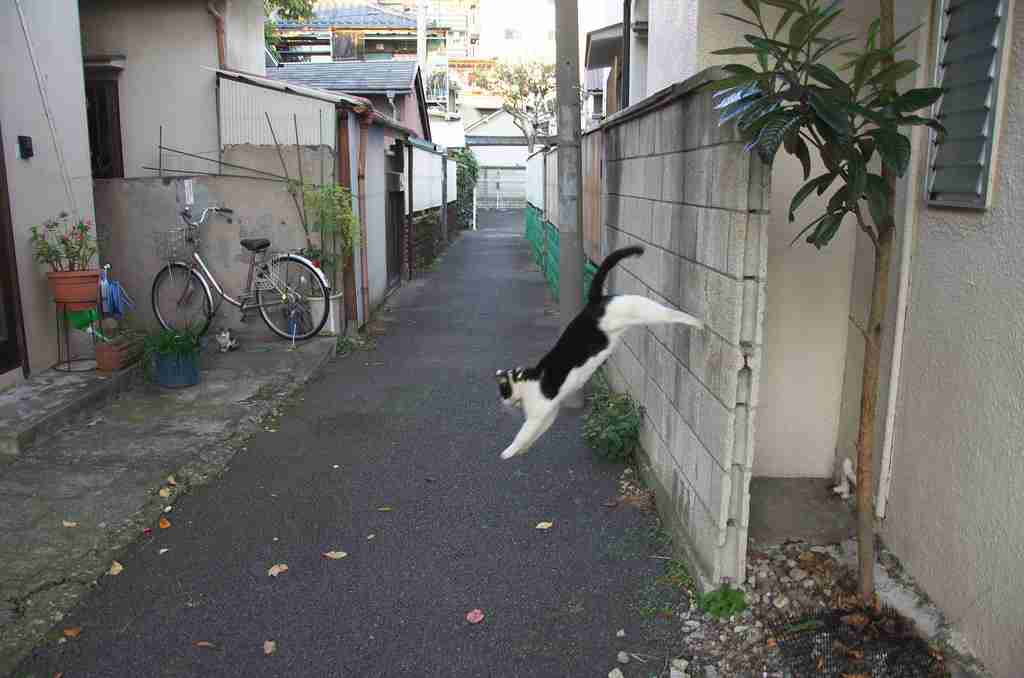 世界の路地裏画像を貼るトピ