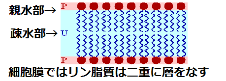 成分表を気にする人で情報交換しませんか？