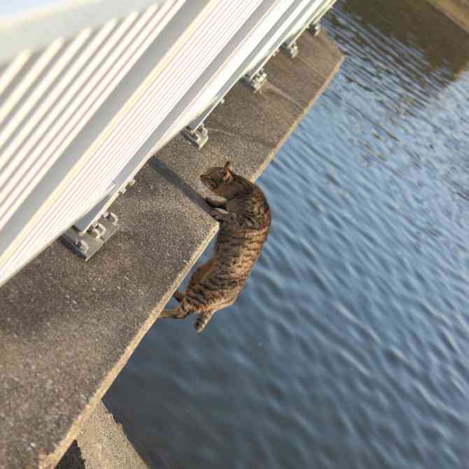 30歳へアドバイスしたいこと