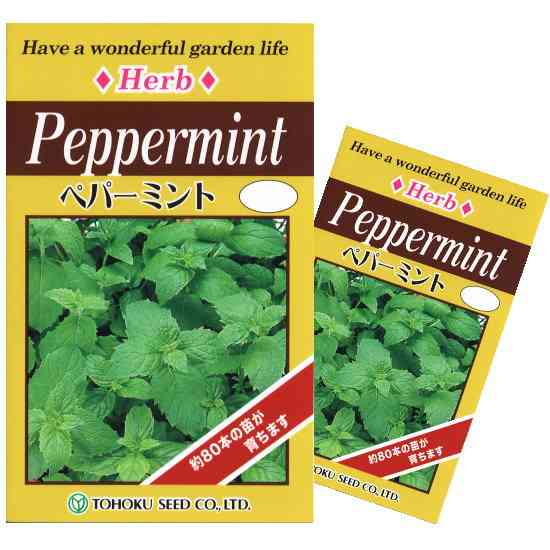 ペパーミントに抗男性ホルモン作用を確認・育毛効果に期待!