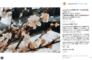 紗栄子、ロンドンの新生活で震災を忘れた？ネットで批判殺到のワケ(1ページ目) - デイリーニュースオンライン