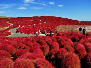 茨城県民集まれ〜(o^^o)