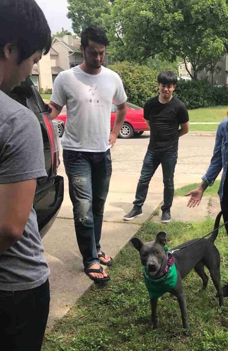 ダルビッシュが「犬の里親に」心優しき行動を地元紙が報じる 