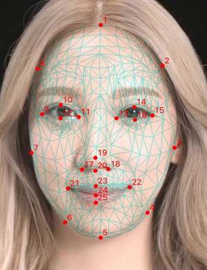 ざわちんアンチによる、“合成鑑定”第2弾！　執念で導いた「顔ドロボー」への最終通告｜サイゾーウーマン