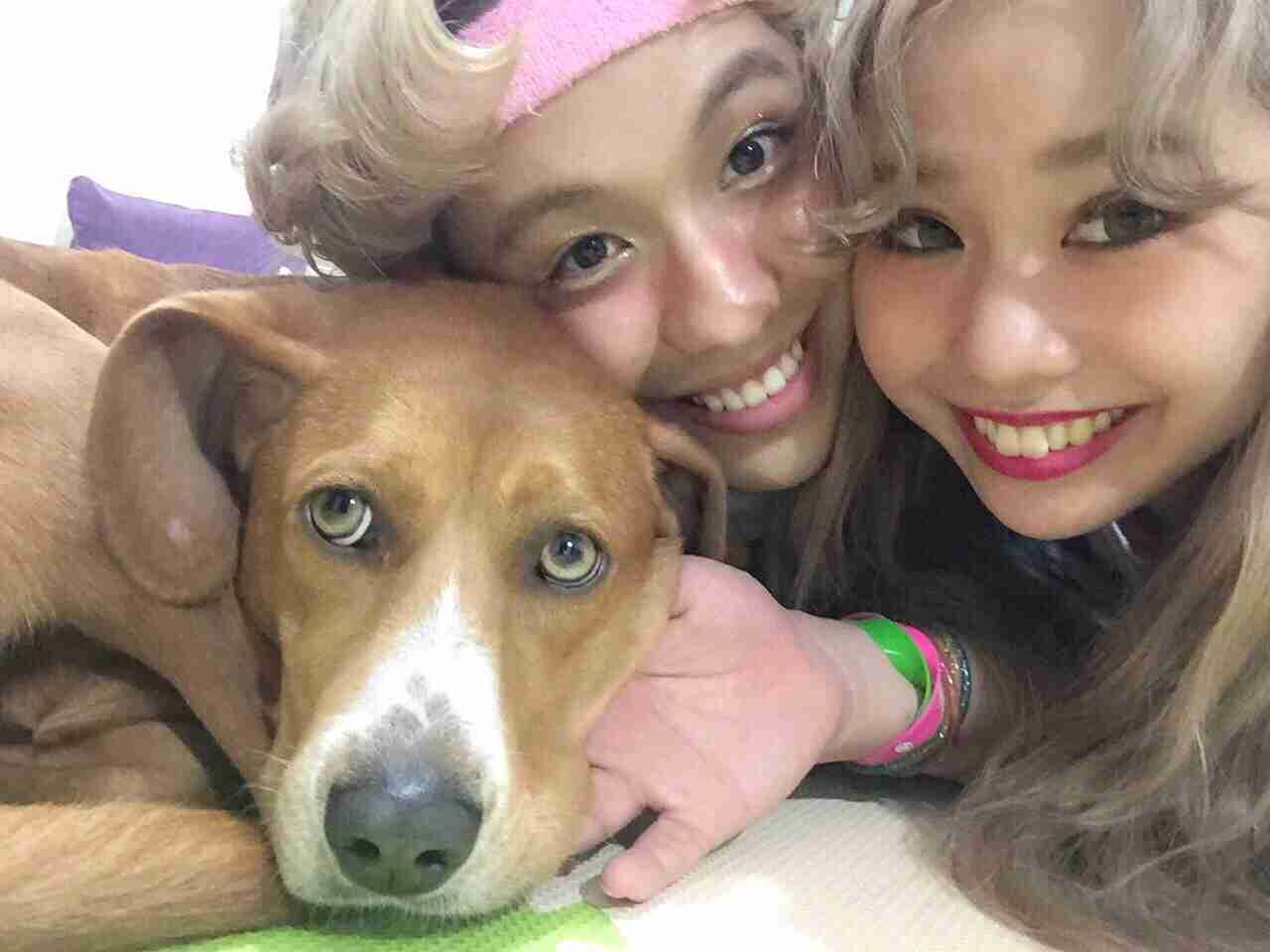 【ネタばれ注意】途中まで観ていたけどあの後どうなった？番組の企画やドラマ結末