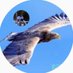 ⓢⓐⓘⓣⓞ on Twitter: "#森友学園
【超重要】
橋下徹
大阪府のルールに逸脱したような形で認可を出したじゃないか、というのはその通り。
大阪府の言い分は、国から相当圧力を受けた。
近畿財務局の方からなんとか条件付きでもいいから認可を出してくれ、と。
近畿財務局は住民の為に走り回る事はしません。… https://t.co/knoo2WIeB7"