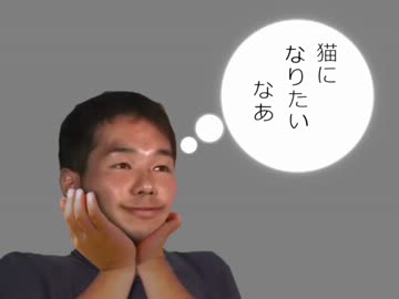 猫になりたい夢叶える「人間用ペットハウス」発売