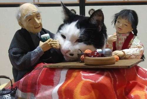 猫と犬の画像を交互に貼っていくトピ