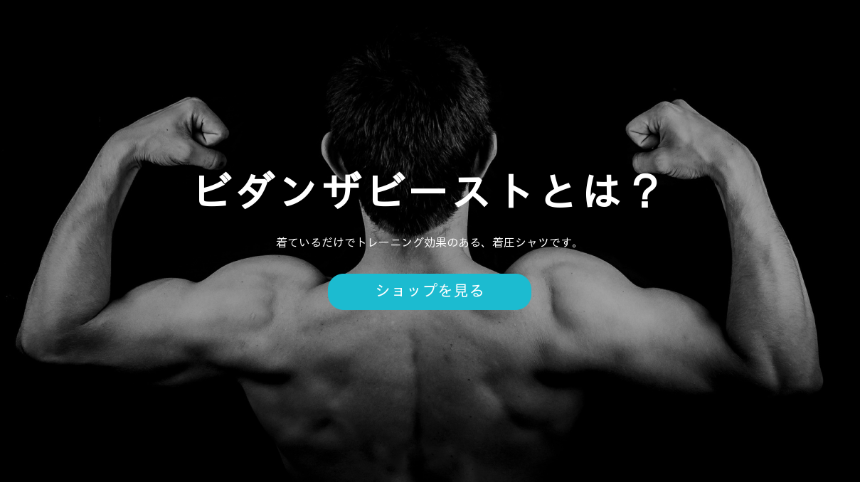 ビダンザビーストは口コミが嘘？販売店以外の楽天やアマゾンで購入しちゃいけない？