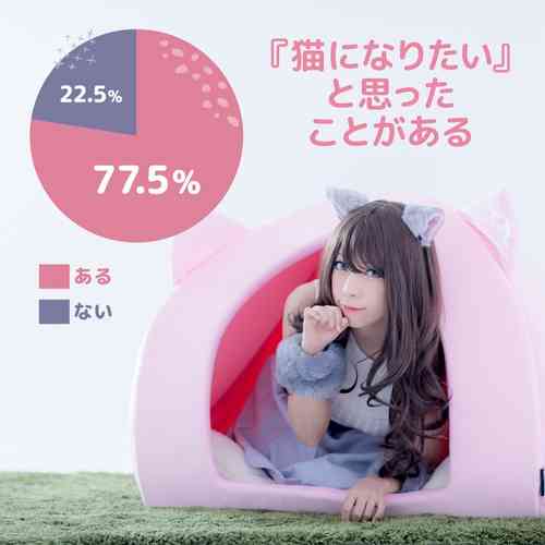 猫になりたい夢叶える「人間用ペットハウス」発売