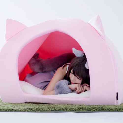猫になりたい夢叶える「人間用ペットハウス」発売