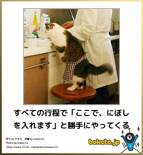 【一人暮らし】自炊していますか？