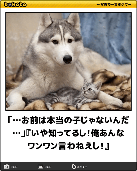 所詮他人だなと思ったこと