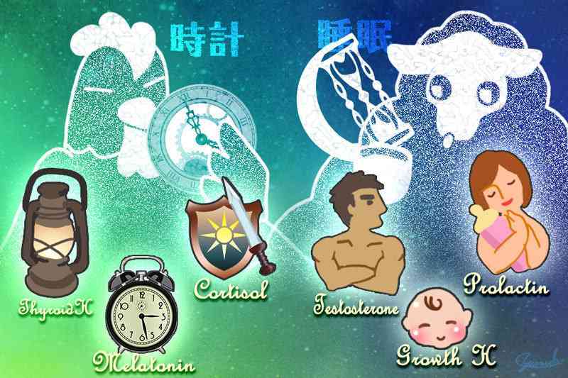 2重に罪深い「お肌のゴールデンタイム」伝説（ナショナル ジオグラフィック日本版） - Yahoo!ニュース