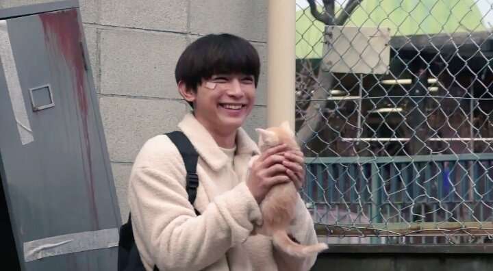 吉沢亮が好きな人〜!