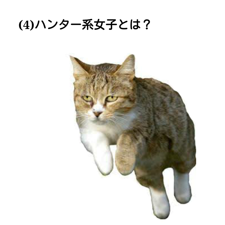 もし呼ぶとすれば、あなたは何々系女子？