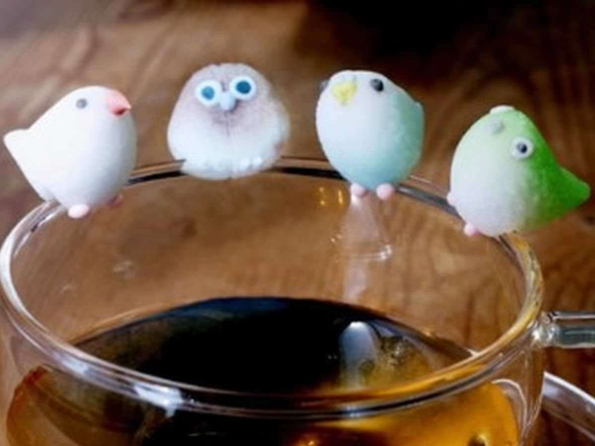 カップのふちにとまる「コトリシュガー」の可愛さに胸きゅんがとまらない！　文鳥やインコ、ふくろうも