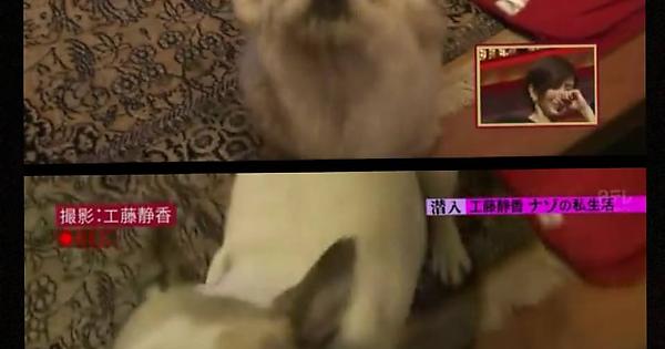                     Imgur: The magic of the Internet