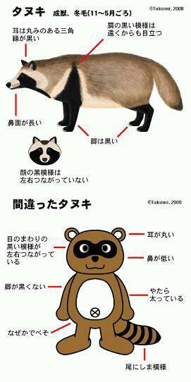 ためになる画像が集まるトピ