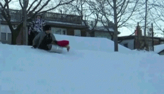 ずっと見ていたいGIF動画下さい