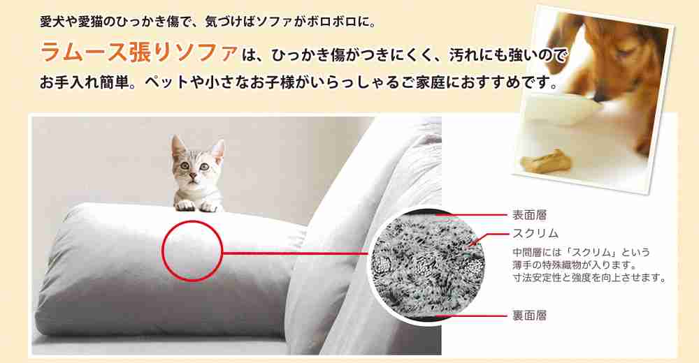革？布？ソファーおススメ