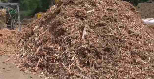 ２０１４年４月１７日・宇宙と地球上の出来事・一切報道されないSTAP細胞の裏側〜これが正論だと思う！ | 宇宙と地球上の出来事