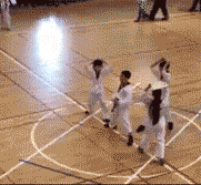 ずっと見ていたいGIF動画下さい