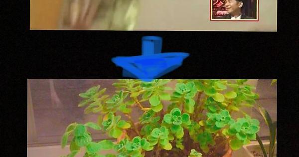                     Imgur: The magic of the Internet