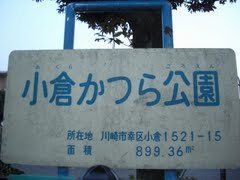 画像を見て、ある芸能人が頭に浮かんだらプラス