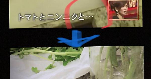                     Imgur: The magic of the Internet