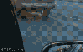 ずっと見ていたいGIF動画下さい