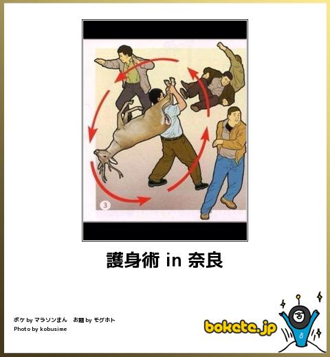 ためになる画像が集まるトピ