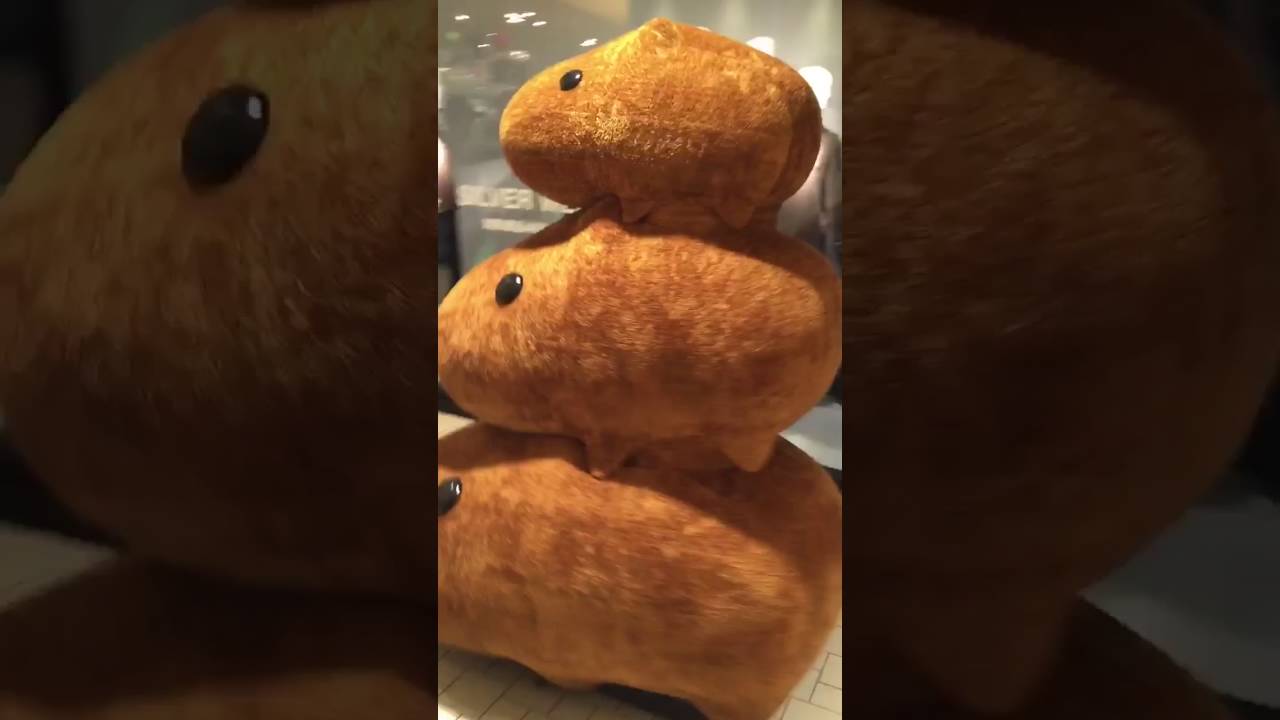カピバラさんのお帰りがシュールな件 - YouTube