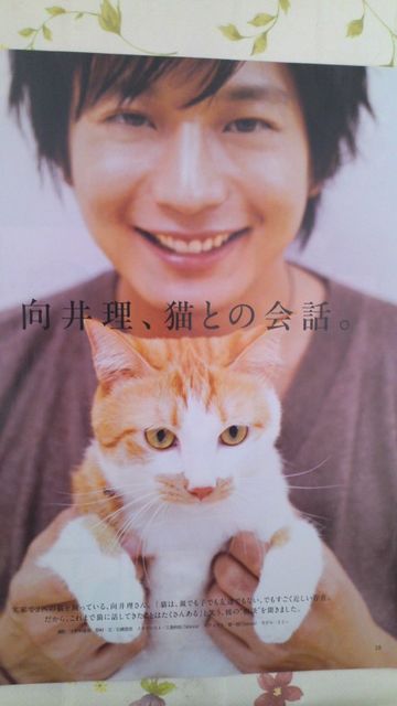 【画像】色んな向井理が見たい！