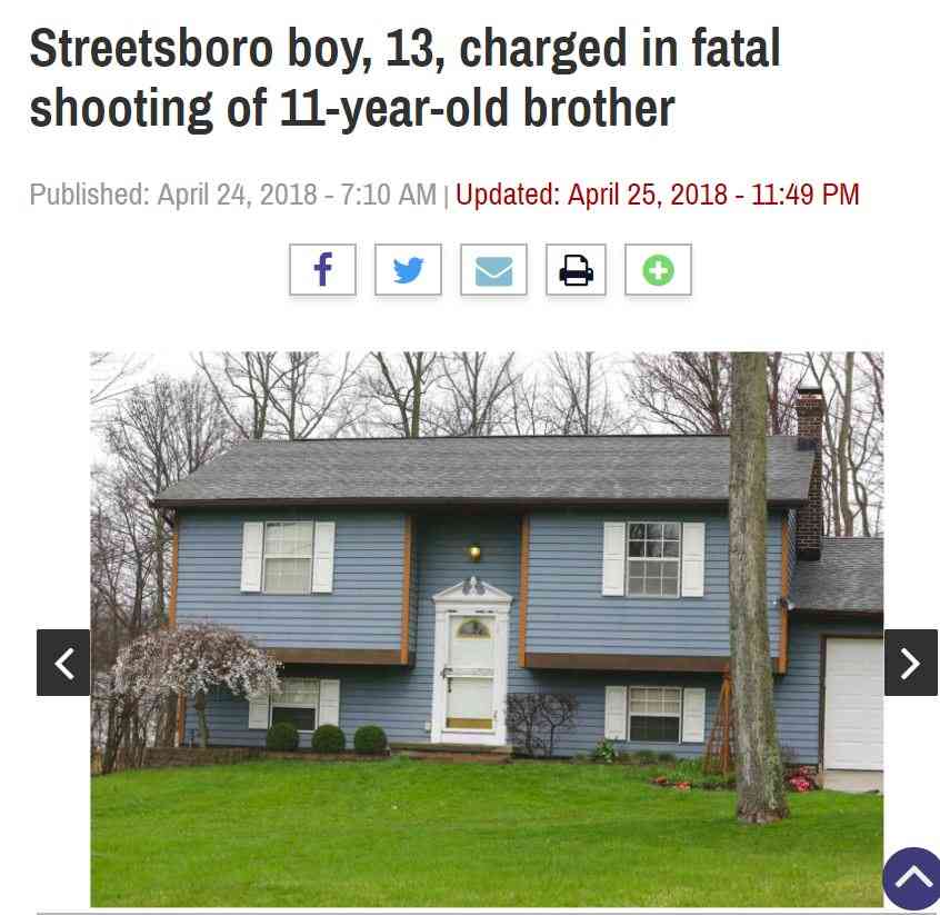 13歳兄、祖父宅から盗んだ拳銃で11歳弟を射殺（米）