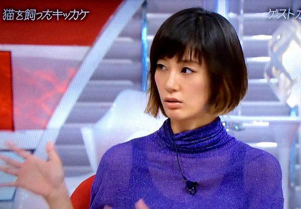 同じ系統の顔の芸能人