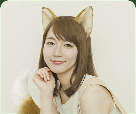 同じ系統の顔の芸能人