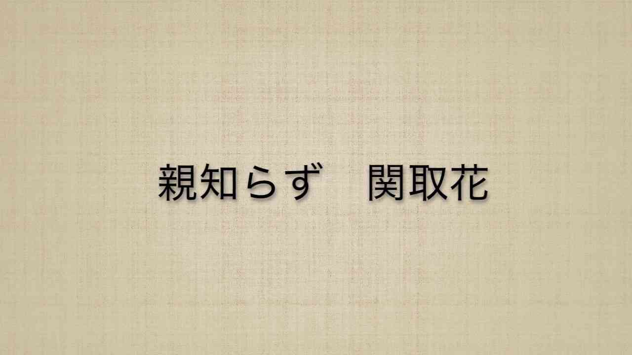 親知らず/関取花(cover) フルver. 歌詞付き - YouTube