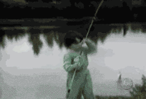 ずっと見ていたいGIF動画下さい