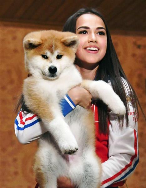 秋田犬「マサル」、先住猫「イリースカ」にほえる　ザギトワ選手宅の犬猫同居を心配する声も　 - 産経ニュース