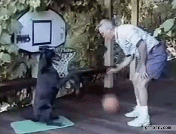 ずっと見ていたいGIF動画下さい