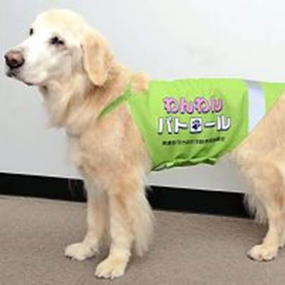 子どもの登下校対策アイデア