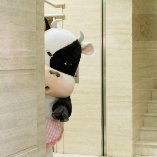 画像を「家政婦は見た！」風にするトピ